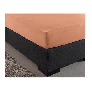 King Size Σεντόνι Jersey με Λάστιχο 190 x 200 x 30 cm Χρώματος Πορτ... King Size Σεντόνι Jersey με Λάστιχο 190 x 200 x 30 cm Χρώματος Πορτ...