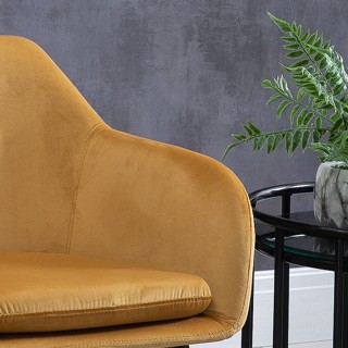 HOMCOM Σετ 2 καρέκλες τραπεζαρίας με επένδυση και βελούδινα μπράτσα...