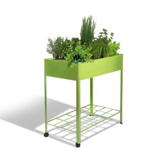 Mini Μεταλλικό Θερμοκήπιο με 2 Ρόδες 80 x 43 x 132 cm Χρώματος Πράσ...