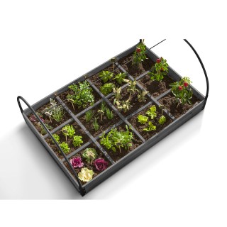 Mini Θερμοκήπιο με 12 Διαμερίσματα 120 x 80 x 50 cm Χρώματος Γκρι S...