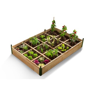 Mini Θερμοκήπιο με 12 Διαμερίσματα 120 x 80 x 50 cm Χρώματος Καφέ S...