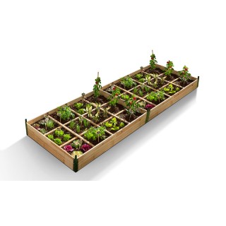 Mini Θερμοκήπιο με 12 Διαμερίσματα 120 x 80 x 50 cm Χρώματος Καφέ S...