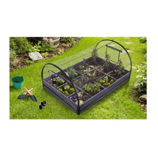 Mini Θερμοκήπιο με 12 Διαμερίσματα 120 x 80 x 50 cm Χρώματος Μπλε S...