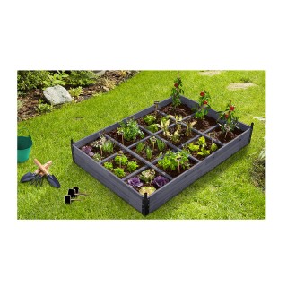 Mini Θερμοκήπιο με 12 Διαμερίσματα 120 x 80 x 50 cm Χρώματος Μπλε S...