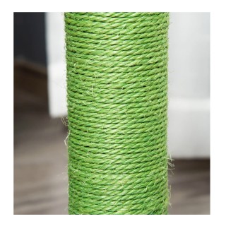 Ονυχοδρόμιο Γάτας Κάκτος 40 x 40 x 65 cm PawHut D30-452