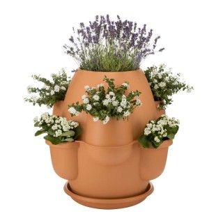 Πλαστική Γλάστρα Σύνθεσης με Πιάτο 80 x 80 cm 200 Lt Χρώματος Κεραμ... Πλαστική Γλάστρα Σύνθεσης με Πιάτο 80 x 80 cm 200 Lt Χρώματος Κεραμ...