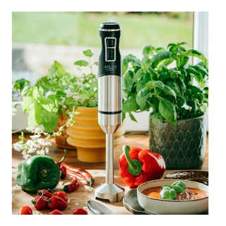 Ραβδομπλέντερ Χειρός 1900 W Adler AD-4628 Ραβδομπλέντερ Χειρός 1900 W Adler AD-4628