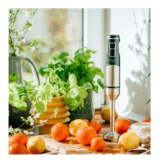 Ραβδομπλέντερ Χειρός 1900 W Adler AD-4628 Ραβδομπλέντερ Χειρός 1900 W Adler AD-4628