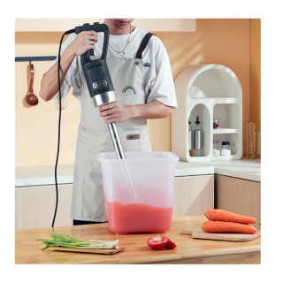 Ραβδομπλέντερ Χειρός με Άξονα 508 mm 500 W VEVOR ZXSCJBQYCBSDJYFXLV2 Ραβδομπλέντερ Χειρός με Άξονα 508 mm 500 W VEVOR ZXSCJBQYCBSDJYFXLV2