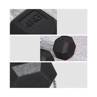 Σετ Αλτήρες 4 Kg 2 τμχ HOMCOM A91-015V01 Σετ Αλτήρες 4 Kg 2 τμχ HOMCOM A91-015V01