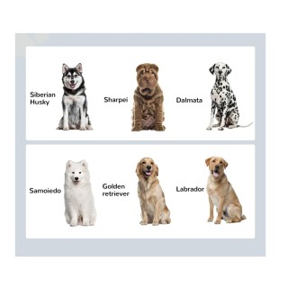 Σετ 2 Ανοξείδωτα Μπολ Γεύματος με Ξύλινο Συρτάρι για Κατοικίδια 60 ...