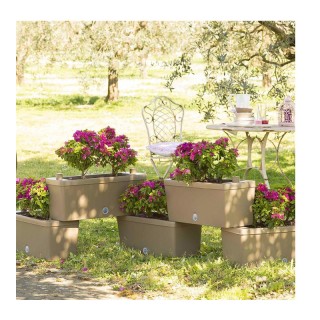 Σετ 5 Ζαρντινιέρες Σύνθεσης από Πλαστικό 75 Lt 59 x 23 x 27 cm Χρώμ... Σετ 5 Ζαρντινιέρες Σύνθεσης από Πλαστικό 75 Lt 59 x 23 x 27 cm Χρώμ...