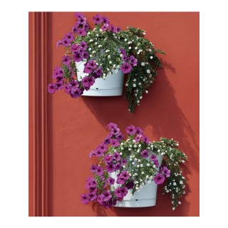 Σετ Πλαστικές Ημικυκλικές Κρεμαστές Γλάστρες 5 Lt 34.5 x 19 x 30 cm...