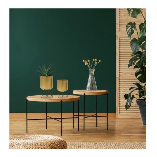 Σετ Στρογγυλά Κασπώ με Μεταλλικές Βάσεις 13 x 13 x 22.5 cm 2 τμχ Ho...