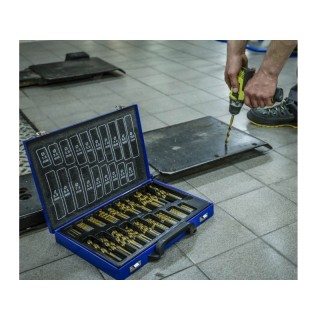 Σετ Τρυπάνια Τιτανίου HSS-TIN 170 τμχ σε Μεταλλικό Βαλιτσάκι TAGRED... Σετ Τρυπάνια Τιτανίου HSS-TIN 170 τμχ σε Μεταλλικό Βαλιτσάκι TAGRED...