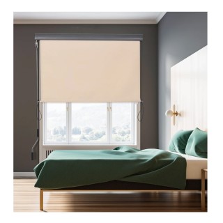 Στόρι Σκίασης Ρόλερ με Μανιβέλα 120 x 200 cm Outsunny 830-235CW