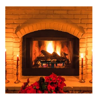 Στρογγυλή Ατσάλινη Σχάρα Τζακιού Χωρίς Σταχτοθήκη 63.8 cm VEVOR LXY...