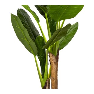 Τεχνητό Φυτό Μπανάνα 160 cm Home Deco Factory HD4189 Τεχνητό Φυτό Μπανάνα 160 cm Home Deco Factory HD4189