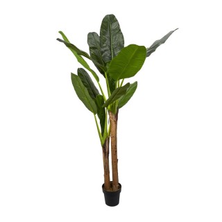 Τεχνητό Φυτό Μπανάνα 160 cm Home Deco Factory HD4189 Τεχνητό Φυτό Μπανάνα 160 cm Home Deco Factory HD4189