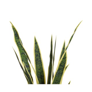 Τεχνητό Φυτό Sanseveria 80 cm Outsunny 844-267 Τεχνητό Φυτό Sanseveria 80 cm Outsunny 844-267