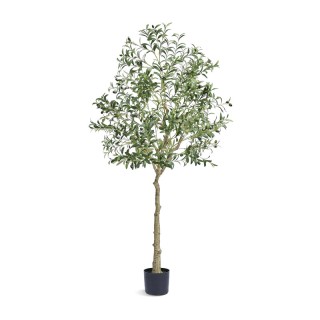 Τεχνητό Φυτό Ελιά 1790 mm VEVOR RZS6FTGLS000VAJSMV0 Τεχνητό Φυτό Ελιά 1790 mm VEVOR RZS6FTGLS000VAJSMV0