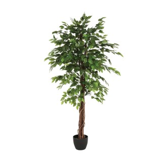 Τεχνητό Φυτό Φίκος 180 cm Atmosphera 110341 Τεχνητό Φυτό Φίκος 180 cm Atmosphera 110341