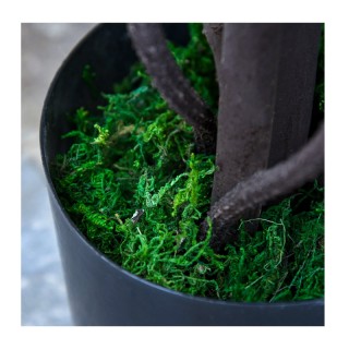 Τεχνητό Φυτό Wisteria 165 cm Outsunny 844-346 Τεχνητό Φυτό Wisteria 165 cm Outsunny 844-346