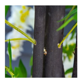 Τεχνητό Φυτό Wisteria 165 cm Outsunny 844-346