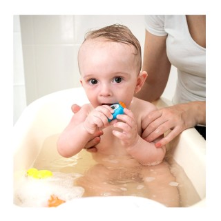 Θερμόμετρο Μπάνιου για Μωρά Alecto BC-11 PENGUIN Θερμόμετρο Μπάνιου για Μωρά Alecto BC-11 PENGUIN