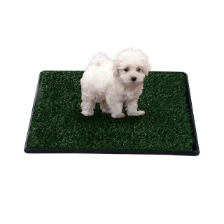 Τουαλέτα για Σκύλους με Γρασίδι 51 x 63 x 6 cm PawHut D07-006 Τουαλέτα για Σκύλους με Γρασίδι 51 x 63 x 6 cm PawHut D07-006