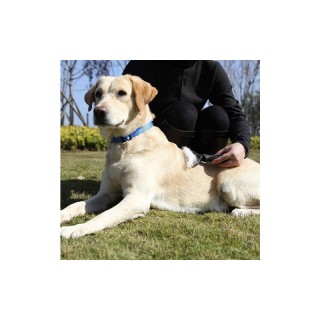 Τρίμμερ - Χτένα για Κατοικίδια Purlov 20427