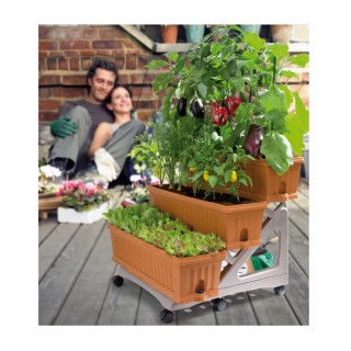 Τροχήλατη Πλαστική Σκαλιέρα με 3 Ζαρντινιέρες 30 Lt 80 x 74 x 73 cm... Τροχήλατη Πλαστική Σκαλιέρα με 3 Ζαρντινιέρες 30 Lt 80 x 74 x 73 cm...