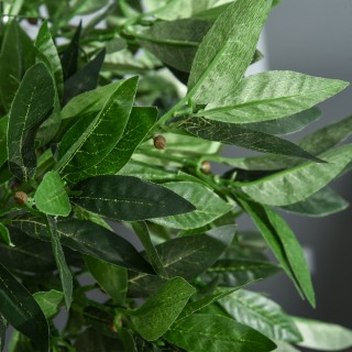 Outsunny Σετ με 2 Τεχνητές Δάφνες σε Γλάστρες Ύψος 90cm για εσωτερι... Outsunny Σετ με 2 Τεχνητές Δάφνες σε Γλάστρες Ύψος 90cm για εσωτερι...