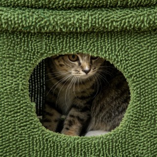 Στύλος γρατσουνίσματος γάτας PawHut με κρεβάτι, σπίτι και στύλο κάκ... Στύλος γρατσουνίσματος γάτας PawHut με κρεβάτι, σπίτι και στύλο κάκ...