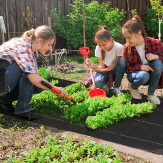Outsunny Mulch Sheet 2x25 m για Λαχανόκηπο, Θερμοκήπιο και Κήπο, Απ...