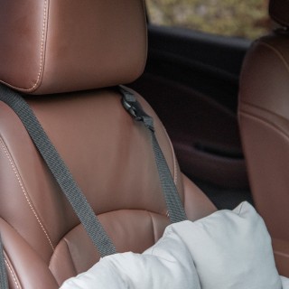 Κάθισμα αυτοκινήτου PawHut για μικρά σκυλιά, αφαιρούμενο και πλενόμ... Κάθισμα αυτοκινήτου PawHut για μικρά σκυλιά, αφαιρούμενο και πλενόμ...