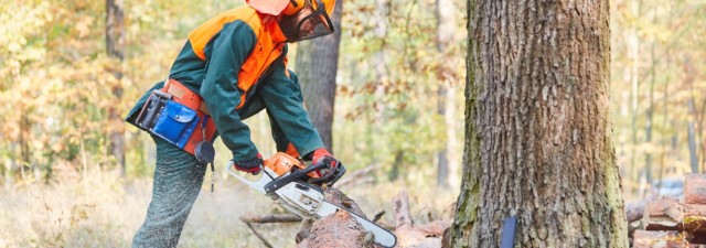 Πώς να Επιλέξετε το Σωστό Αλυσ &hellip;
