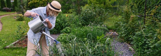 Ολοκληρωμένος οδηγός ποτίσματο &hellip;