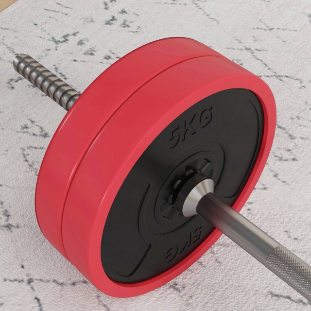 SPORTNOW Σετ Μπάρας και Δίσκων 30kg, 170x26x26cm, Κόκκινο A91-286V00RD
