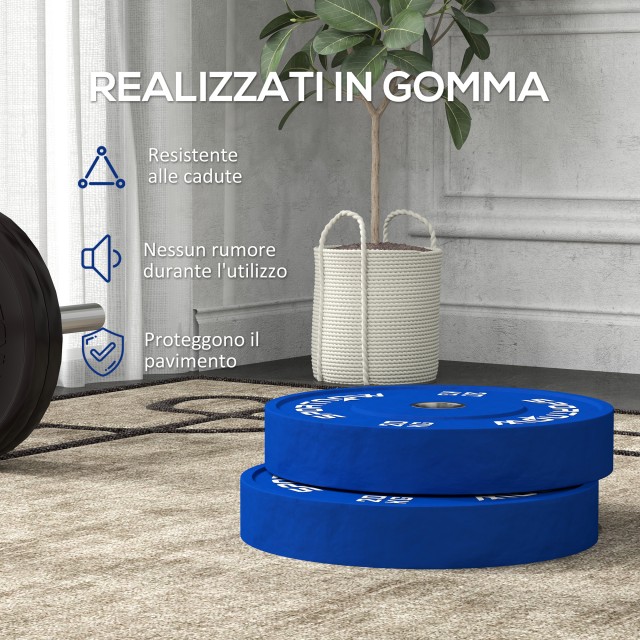 SPORTNOW  Σετ 2 Δίσκοι Βάρους 20kg από Καουτσούκ με Τρύπα 2/5 cm για Μπάρες και Μονόζυγα, Μπλε  A91-376V01BU