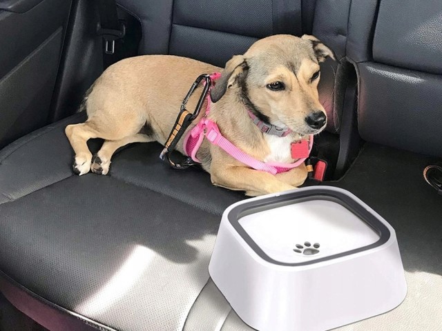 Verk Group Μπολ Νερού Επιπλέουσα για Σκύλους και Γάτες 1λ Ειδικό Αν... Verk Group Μπολ Νερού Επιπλέουσα για Σκύλους και Γάτες 1λ Ειδικό Αν...