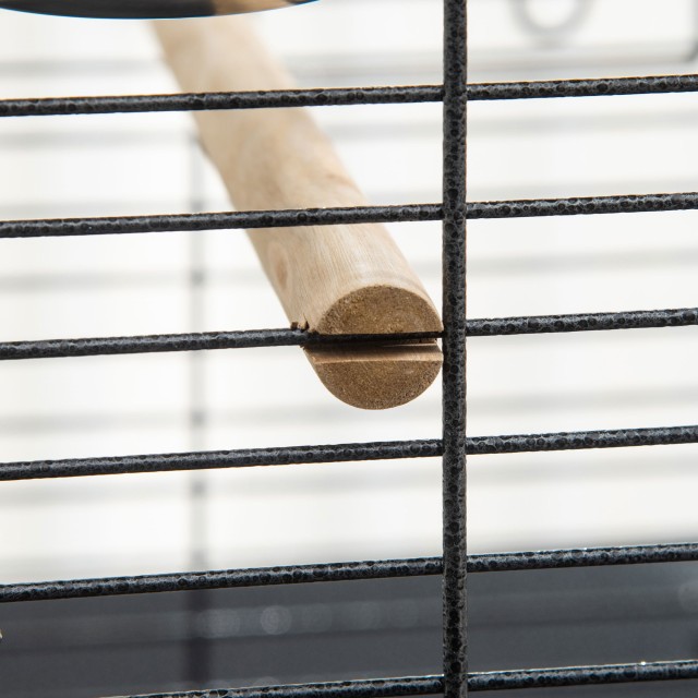 PawHut Budgie Cage with 2 Perches and Arched Ladder, Ατσάλι, 62,5x62,5x156 cm, Γκρι D10-068