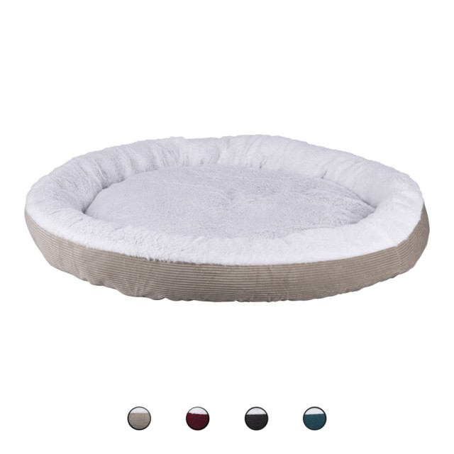 Σπίτι & Ύπνος Σκύλων