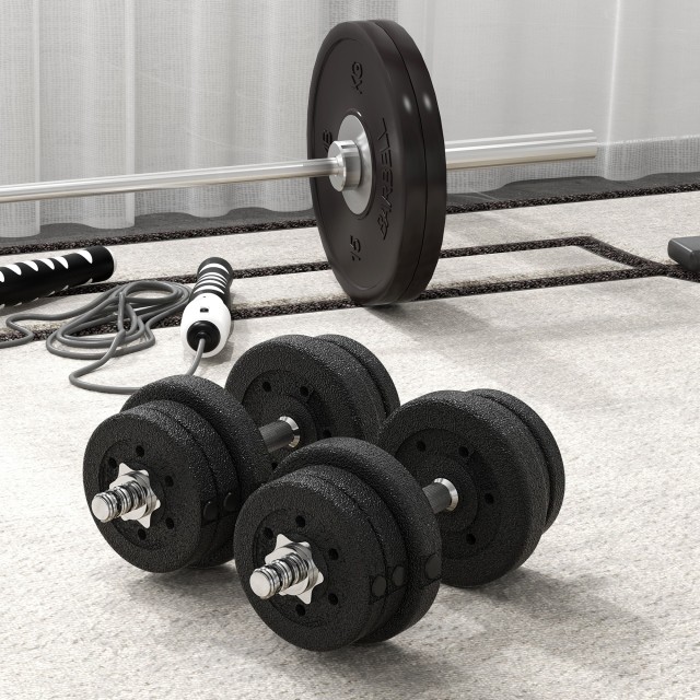 HOMCOM Σετ Μαύρων Αλτήρων 25kg με 12 Δίσκους και 2 Μπάρες 2kg A91-139V04BK