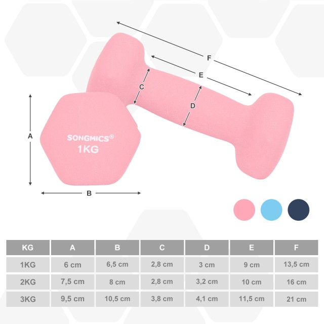 SONGMICS Σετ 6 Εξάγωνων Αλτήρων με Βάση 1kg, 2kg, 3kg - Ροζ, Τυρκουάζ και Μπλε -SYL612MK 
