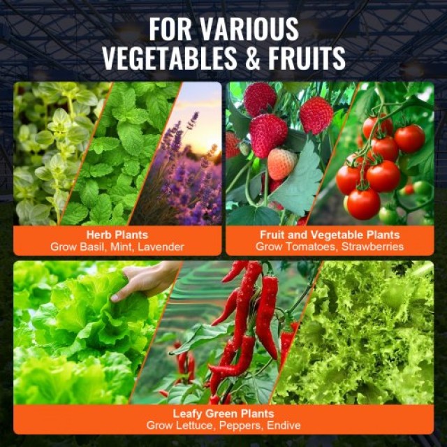 VEVOR Σύστημα Υδροπονίας DWC με 2 Κάδους και Άνω Στάγδην Άρδευση  S...