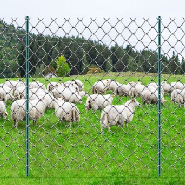 Σετ 10 Μεταλλικών Στύλων Φράχτη 6 Ποδιών VEVOR Πράσινο  WLLZJSK6YC10EWSGIV0