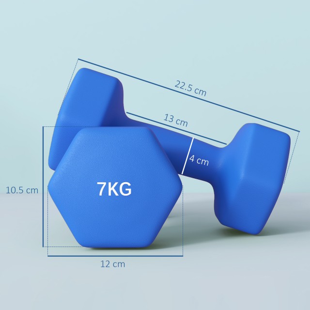 SPORTNOW Σετ 2 Εξαγωνικοί Αλτήρες 2x7kg από Μέταλλο και Πλαστικό με Αντιολισθητική Λαβή 22.5x10.5x10.5 cm Μπλε A91-315V06BU