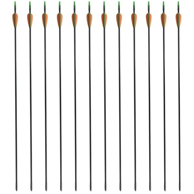 vidaXL Βέλη Ολυμπιακού Αντίκυρτου Τόξου 12 τεμ. 30 0,6 εκ. από Fibe... vidaXL Βέλη Ολυμπιακού Αντίκυρτου Τόξου 12 τεμ. 30 0,6 εκ. από Fibe...