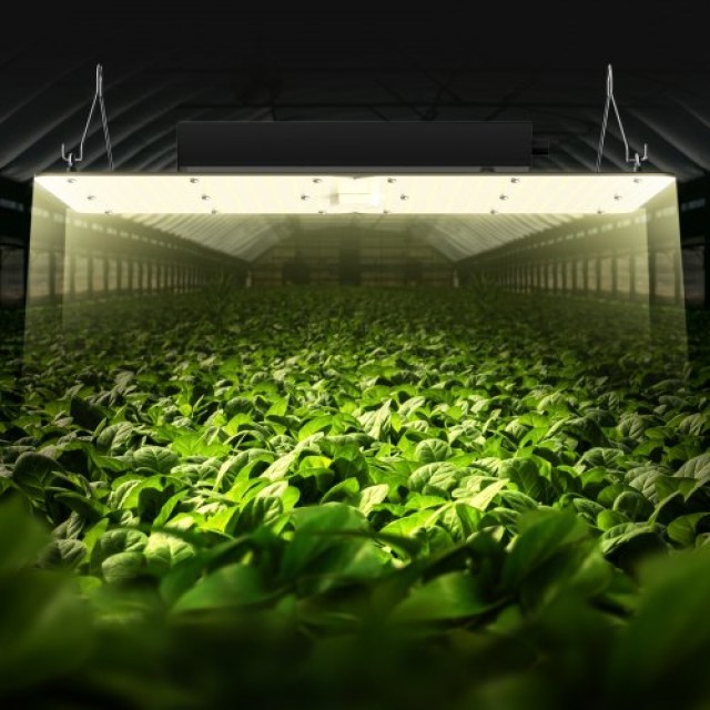 VEVOR LED Φωτιστικό Καλλιέργειας 300W, Πλήρες Φάσμα, Ρυθμιζόμενο για Θερμοκήπιο 3x3/4x4 ft  LZBZWSZ320W23DGH5V2